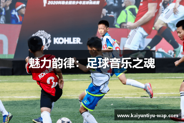 魅力韵律：足球音乐之魂