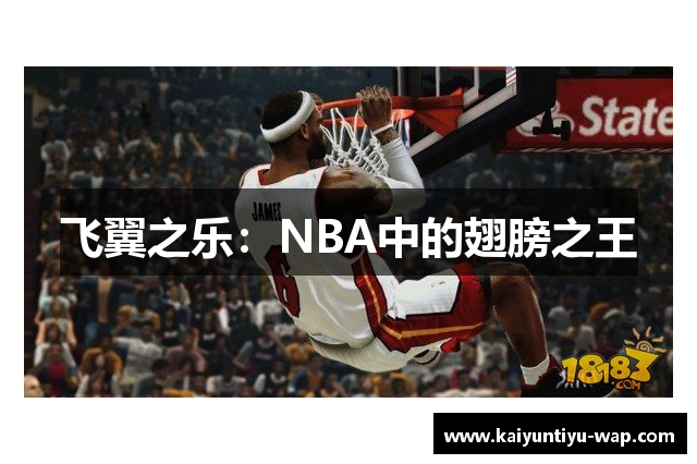 飞翼之乐：NBA中的翅膀之王