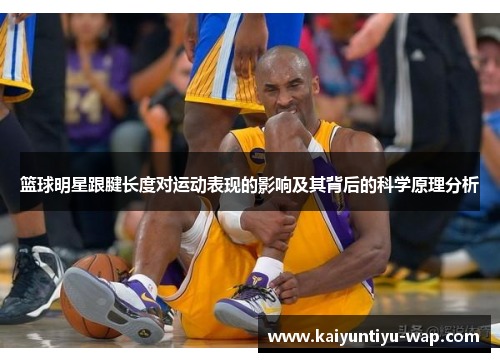 篮球明星跟腱长度对运动表现的影响及其背后的科学原理分析